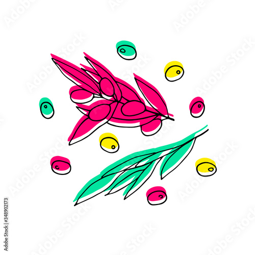 Colored olives Set. Outline olive branches isolated on white background. Hand drawn berries and olive leaves with neon fill. Vector stock illustration for packaging, print. Design acid plants Elements