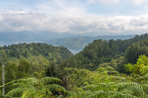 Sumatran tropical pine forests on the island of Samosir in the Lake Toba on Sumatra in Indonesia