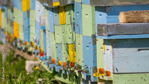 A row of blue, green and yellow beehives