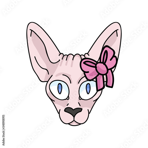 Cute cartoon sphynx kitten face with pink bow vector clipart. Pedigree exotic kitty breed. Purebred domestic cat for pet parlor illustration mascot. Isolated hairless feline housecat. EPS 10