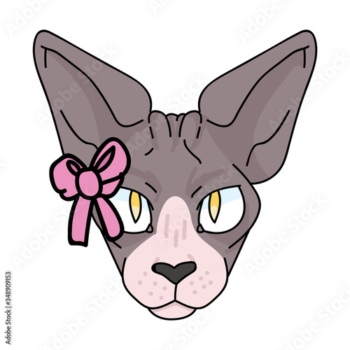 Cute cartoon sphynx cat face with pink bow vector clipart. Pedigree exotic kitty breed. Purebred domestic kitten for pet parlor illustration mascot. Isolated hairless feline housecat. EPS 10