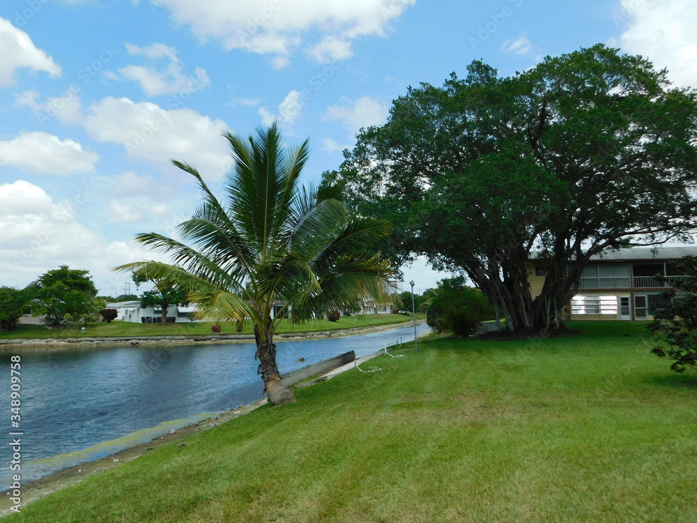 Fototapeta premium Landscape,green place, trees,lake,river