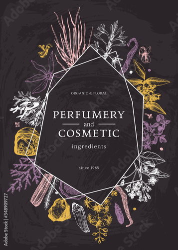 Hand drawn perfumery and cosmetics ingredients flyer on chalk board. Decorative background with vintage aromatic plants, fruits, spices, herbs for perfumery. Organic cosmetics design on chalkboard