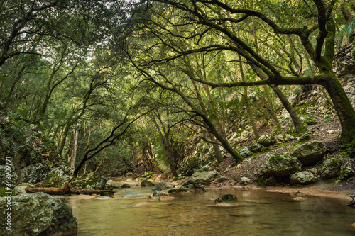 Rapid river running through the stones in an amazing green mediterranean mountain forest long exposure