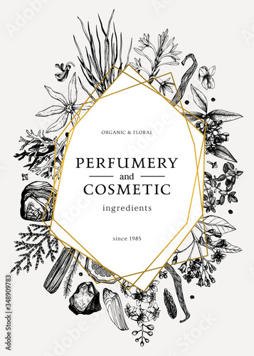 Hand drawn perfumery and cosmetics ingredients vintage flyer. Decorative background with aromatic plants, fruits, spices, herbs for perfumerywith golden foil border