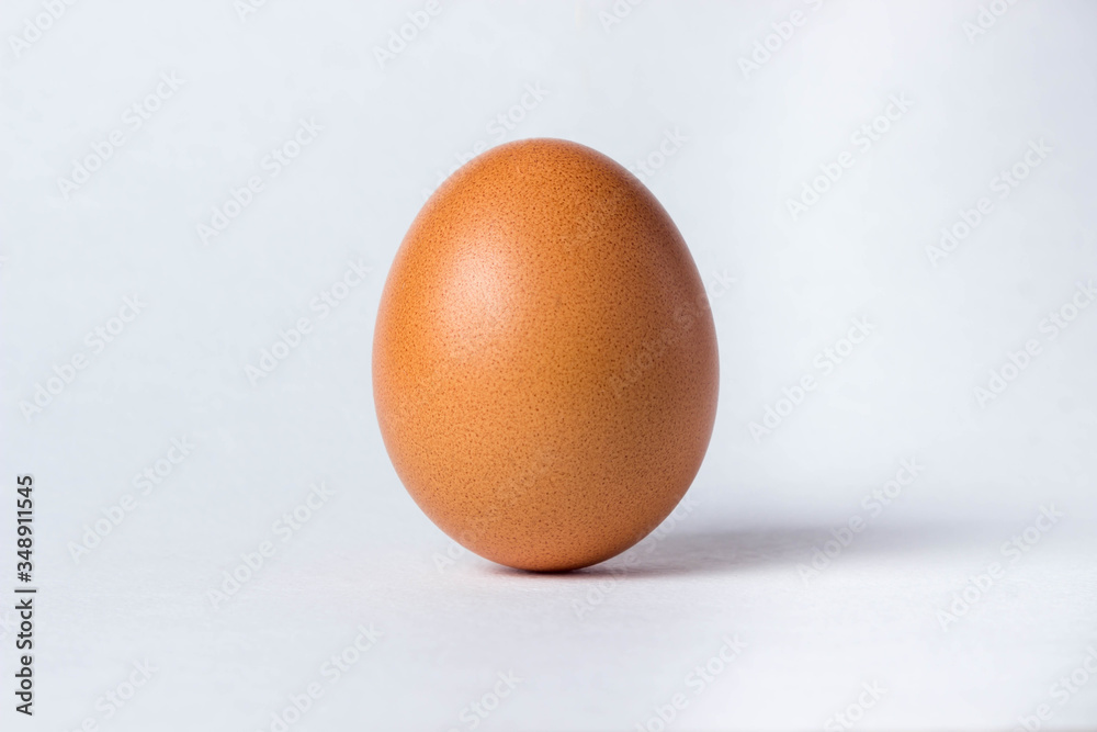 one brown egg stands on a white background one brown egg stands on a white background