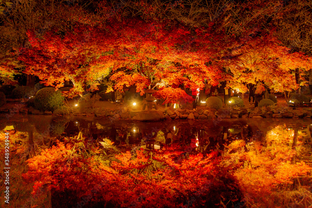 Obraz premium 京都 東寺の紅葉