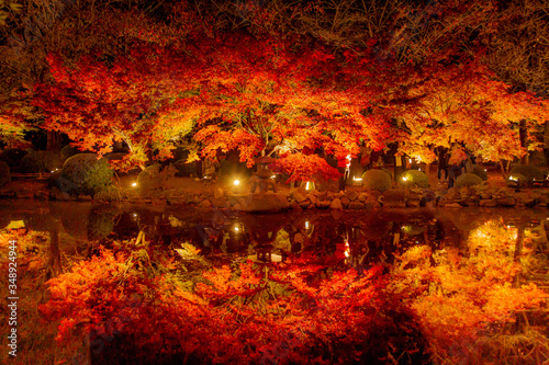 京都 東寺の紅葉