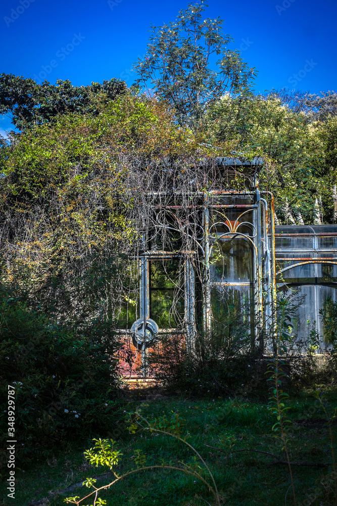 Fototapeta premium Abandoned house covered by bushes