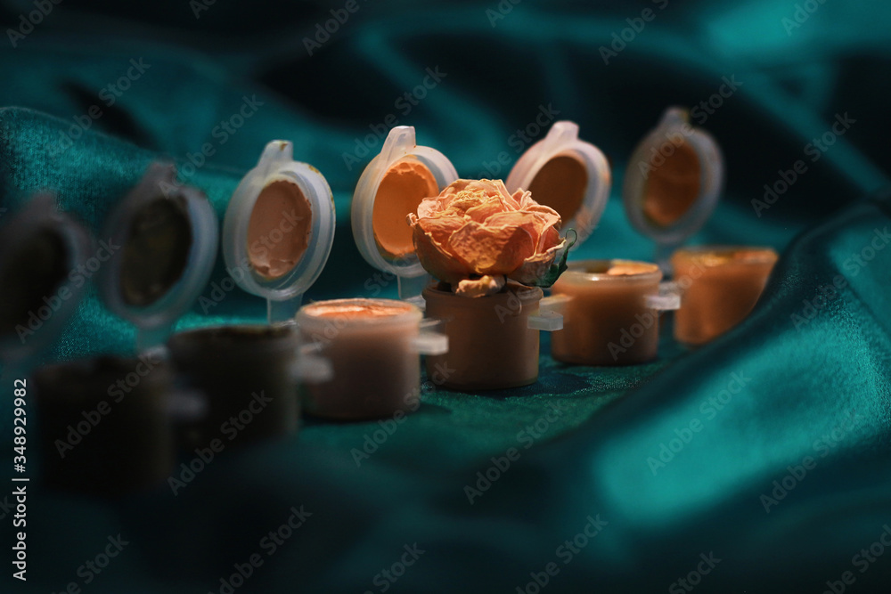Set of beautiful orange paints and a beautiful rose on a green background.. Set of beautiful orange paints and a beautiful rose on a green background..