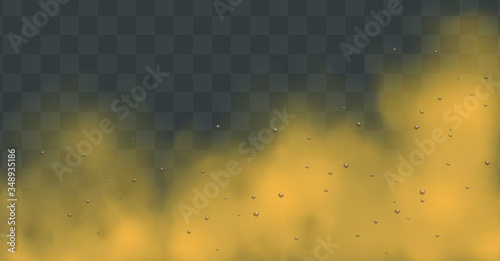 Dust cloud with particles with dirt,cigarette smoke, smog, soil and sand  particles. Realistic vector isolated on transparent background. Concept house cleaning, air pollution,big explosion.