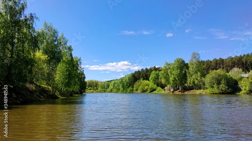green trees along the shore of the pond against the blue sky on a sunny day