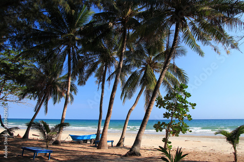 Coconut tree in front of the resort with Beautiful beach