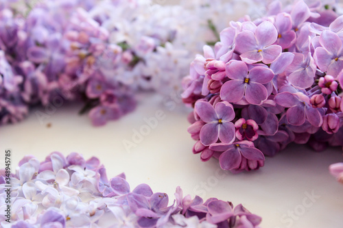 Wallpaper Mural Lilac twigs on the background Torontodigital.ca