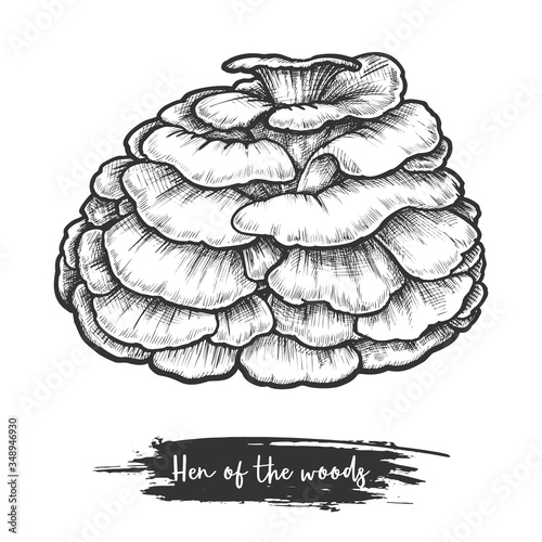 Retro style vector illustration of signorina mushroom
