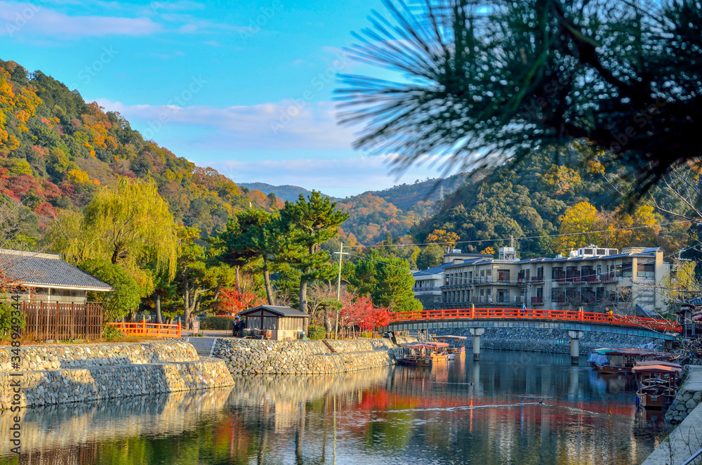 Fototapeta premium 京都の宇治川