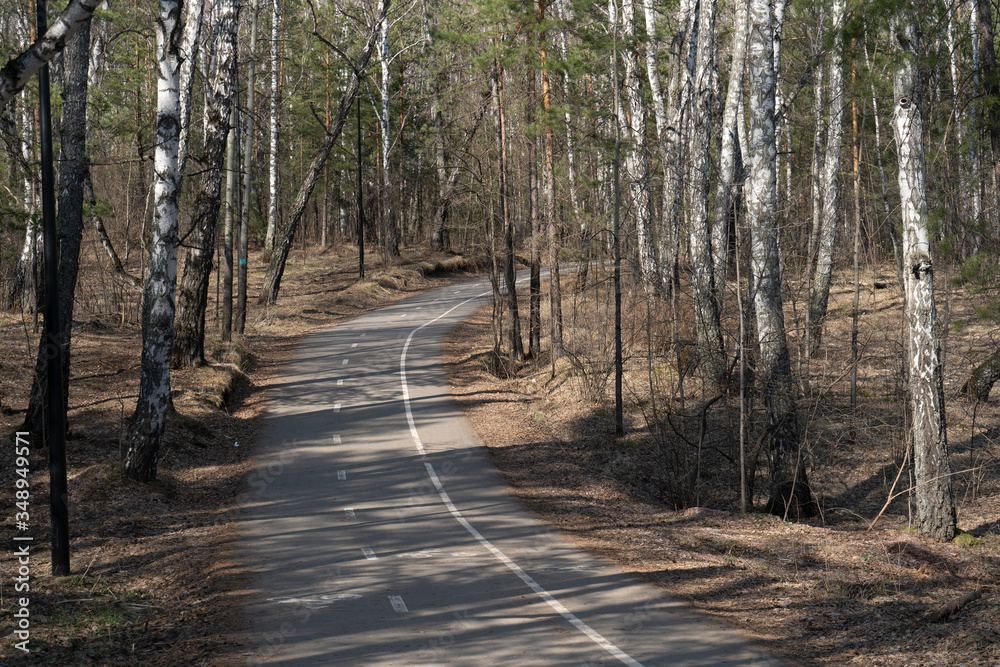 Sports track in the spring forest with dedicated lanes for cyclists and runners.