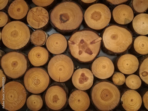 Cortes de troncos de madera