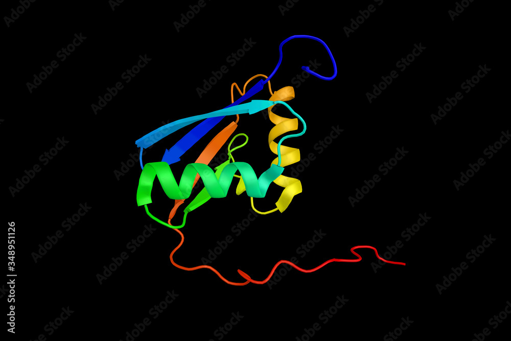 activated protein kinase kinase kinase 2, an enzyme which ... Biology Diagrams