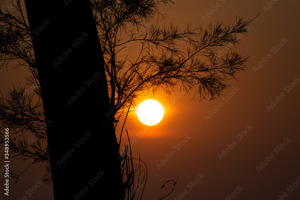 Sunset, Evening, Evening Sunset, Red Sky, Nature, Sunset, Evening, Evening Sunset, Red Sky, Nature,