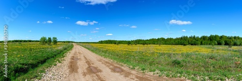 Panorama of a field covered with yellow flowers with a dirt road going to the horizon