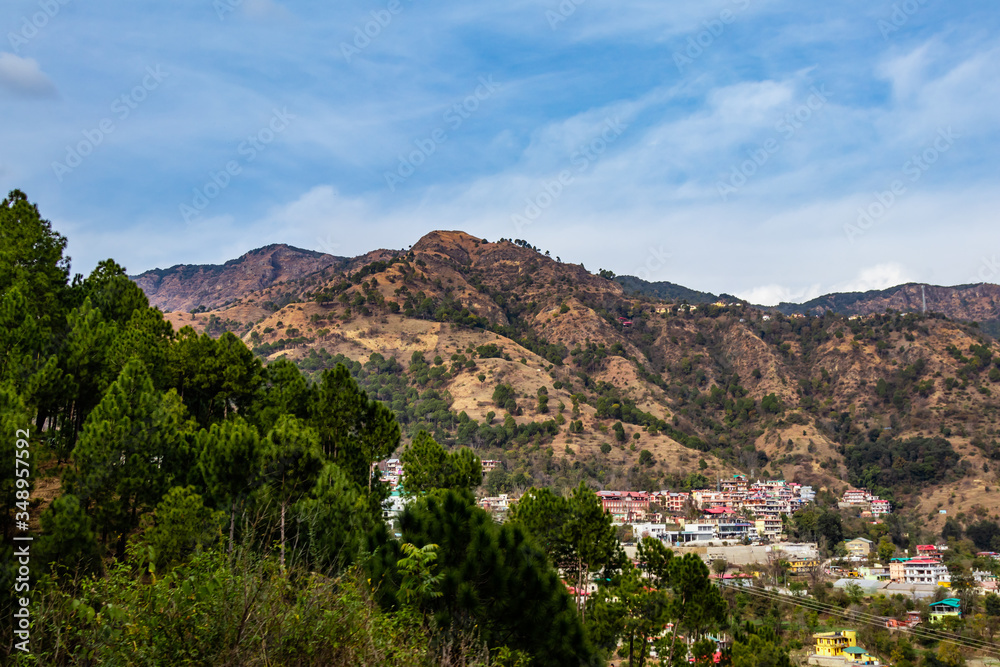 high angle shot of cityscape along side mountains and trees in the foreground