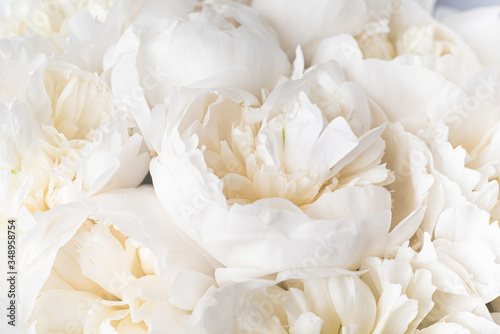 Closeup white peony bouquet wallpaper © Kristina Nekrich 