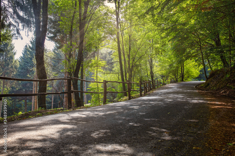 Obraz premium road in autumn
