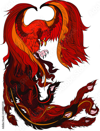Phoenix Fire bird illustration and character design.Hand drawn Phoenix tattoo Japanese and Chinese style,Legend of the Firebird is Russian fairy tales and it is creature from Slavic folklore.