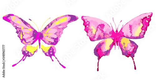 butterfly602
