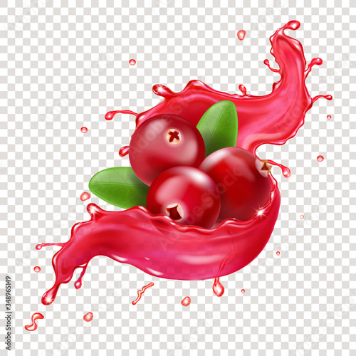 Cranberry in juice splash. Sweet berry realistic vector illustration