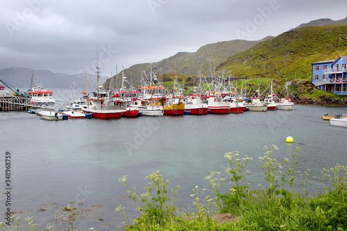 Beautiful fishing village of Kamoyvaer which lies along the Kamoyfjorden on the east side of the island of Mageroya, close Honningsvag. Nordkapp Municipality, Troms og Finnmark county, Norway. photo