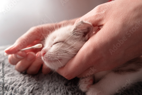 Female hands rub eyes to a cute cozy kitten