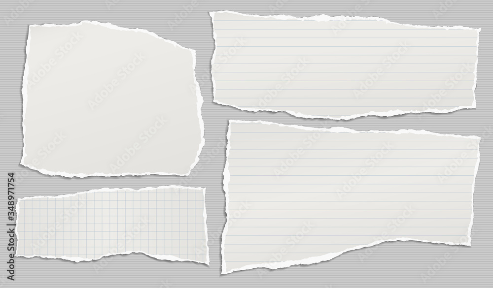Torn of white lined, math note, notebook paper strips, pieces stuck on grey lined background. Vector illustration