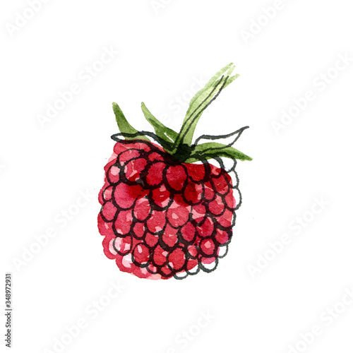 Watercolor logo of raspberry. Hand drawn bright illustration isolated on white background.