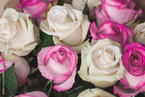 Gift Ideas For Your Loved Ones. Pink and white roses