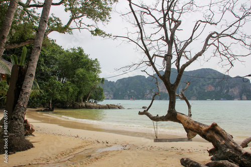 Fototapeta Naklejka Na Ścianę i Meble -  Beautiful beach with vegetation and trees in the Phi Phi Islands of Thailand