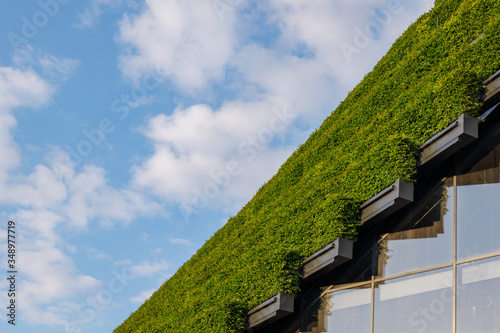 Close up detail of green sustainable facade with step of plant wall cover the building at Kö-Bogen 2 in Düsseldorf, Germany against blue sky. photo