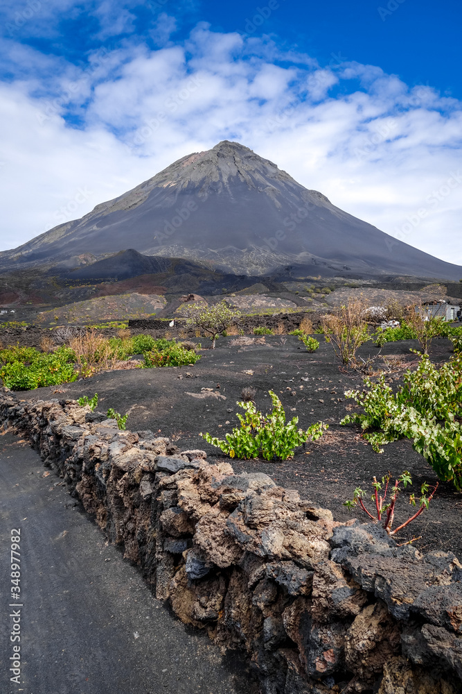Foto de Pico do Fogo and vines in Cha das Caldeiras, Cape Verde do ...