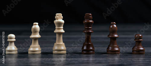 chess kings and various chess pieces arranged in a row on a wooden background