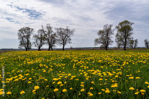 Fototapeta Naklejka Na Ścianę i Meble -  Dolina Narwi. Podlaskie kapliczki i krzyże przydrożne. Narwiański Park Narodowy. Podlasie. Polska
