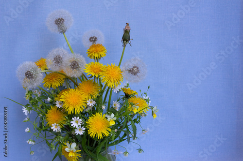 Bouquet of spring flowers of yellow dandelions, white stellate flowers, and flowers of forest violet and green leaves on a blue background as a concept of freshness and brightness of spring, backgroun