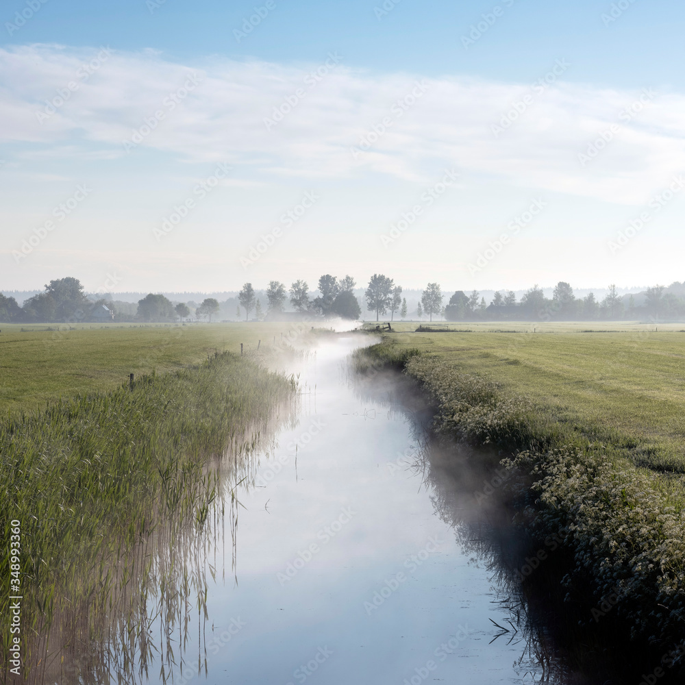 landscape of countryside with canal and meadows in morning mist in the dutch province of utrecht