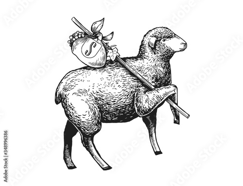 Illustration of the Sheep. Hand drawn in a graphic style. Vintage vector color engraving illustration for Poster, Package, Isolated on white background