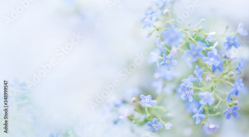 beautiful banner Wallpaper in soft blue with colors and space for text