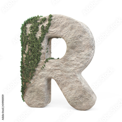 Realistic stone letters with ivy, isolated on a white background. 3d image