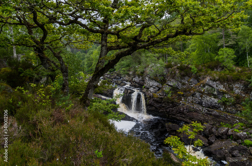 Rogie Falls  Scotland
