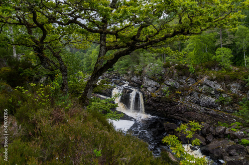 Rogie Falls, Scotland