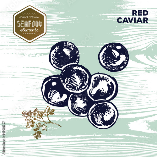 Hand drawn sketch seafood of red caviar and parsley. Vector illustration. Vintage style