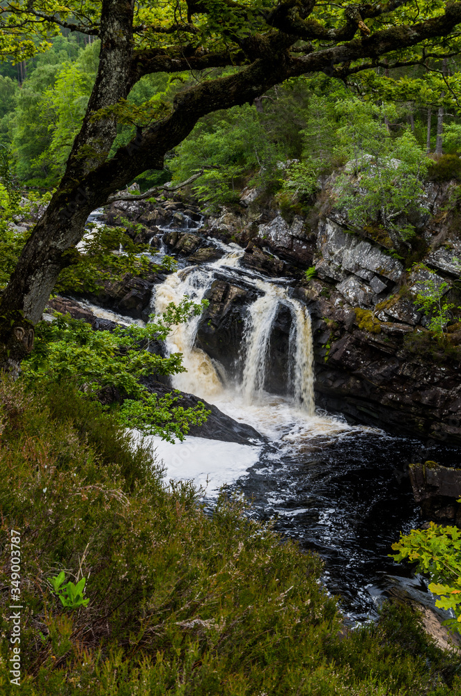 Fototapeta premium Rogie Falls, Scotland
